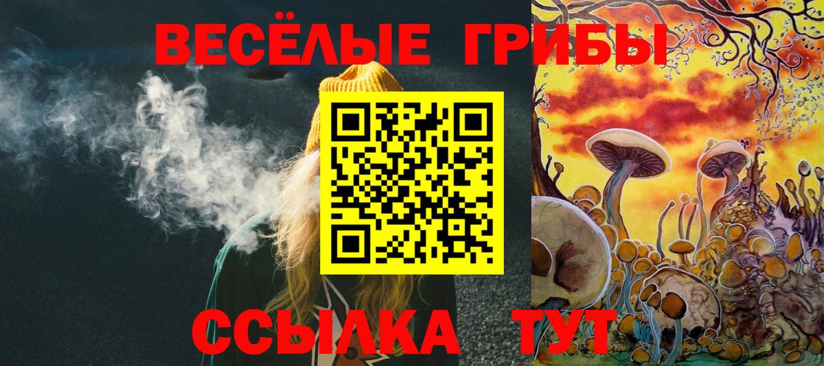 Псилоцибиновые грибы GOLDEN TEACHER Осинники
