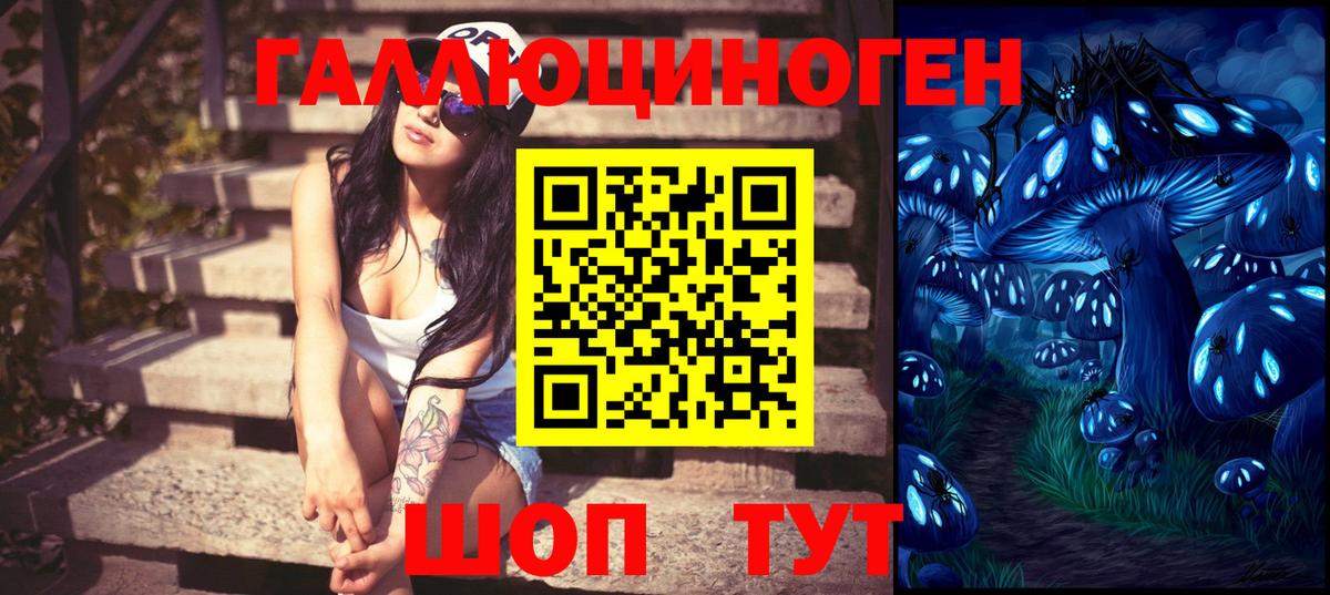 Осинники  Псилоцибиновые грибы Psilocybine cubensis  Вход с VPN 